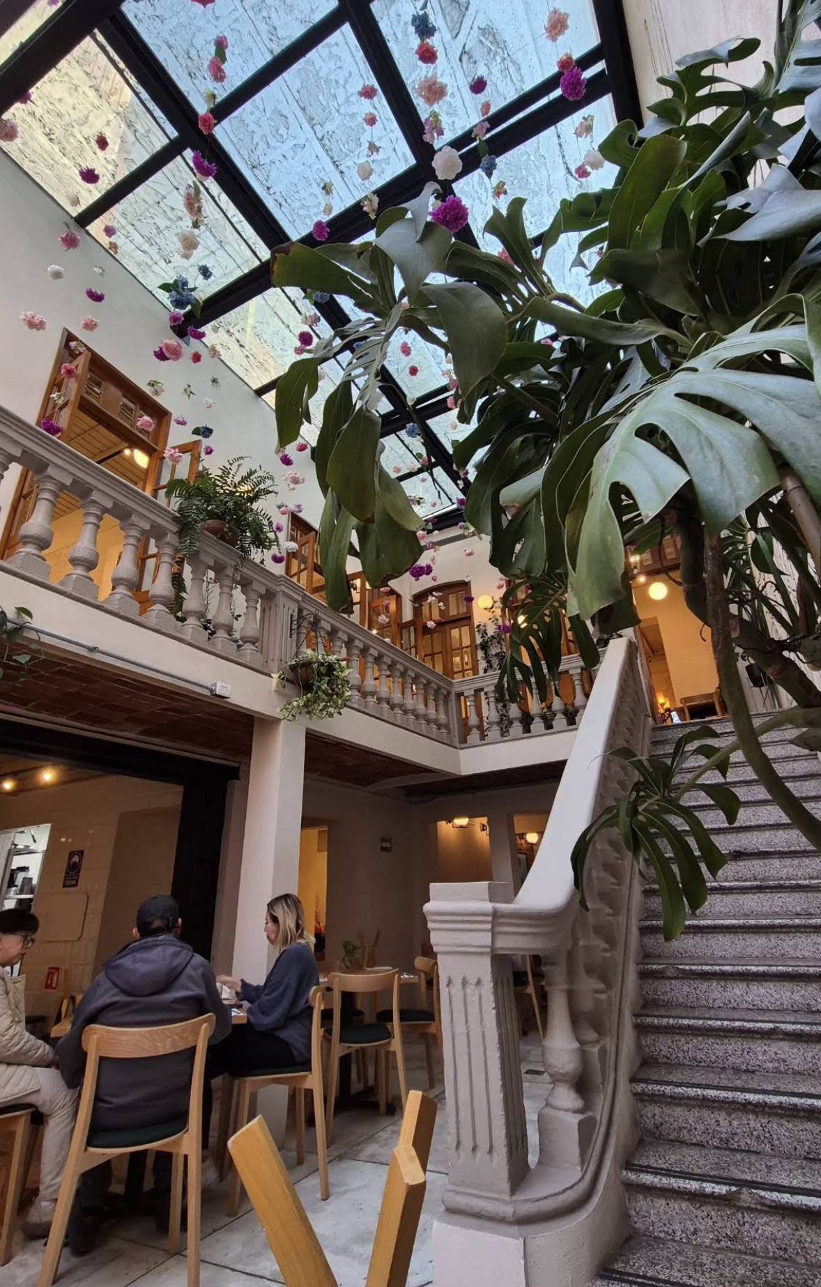 Escaleras con plantas y luz natural